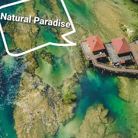 Natural Paradise بوسانسكا كروبا المظهر الخارجي الصورة