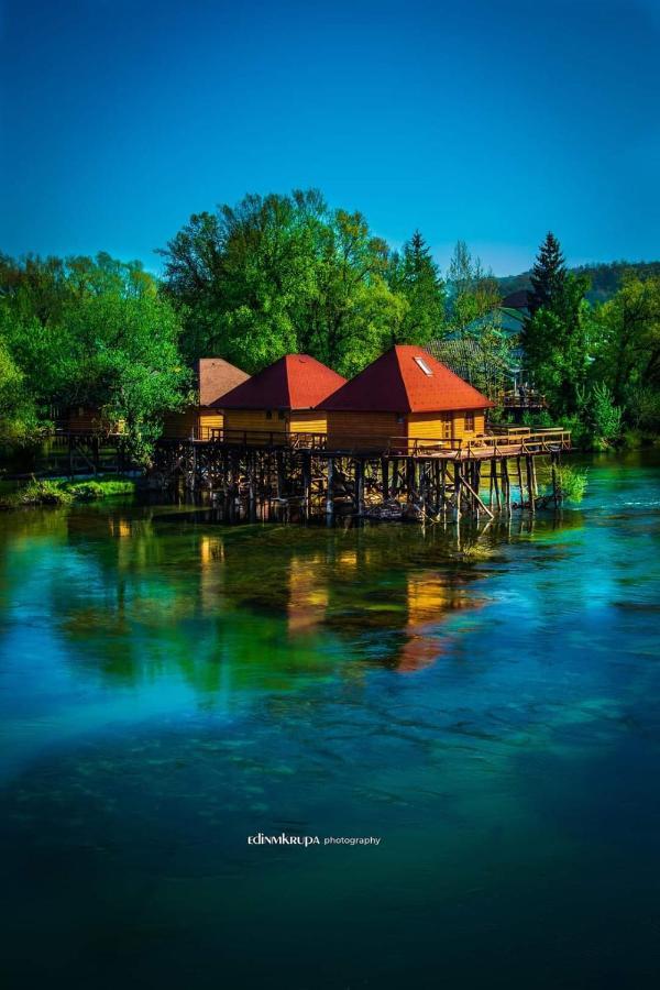 Natural Paradise بوسانسكا كروبا المظهر الخارجي الصورة